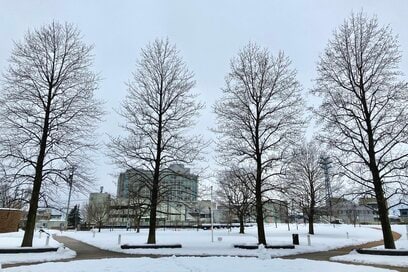 50代、冬の「富山ひとり旅」がよかった理由。ガラス博物館に感動、雪景色の散歩も気持ちいい