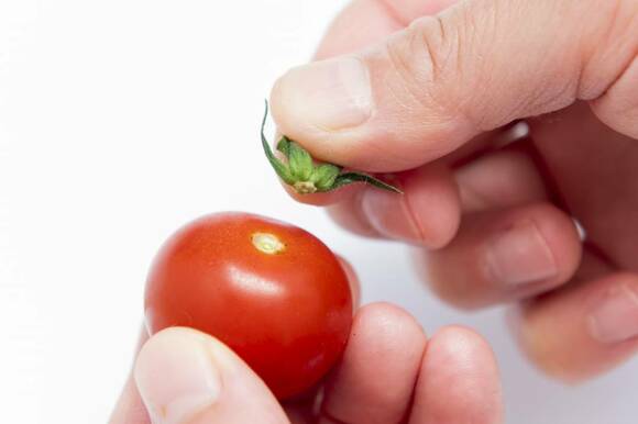 ミニトマトはヘタをとる