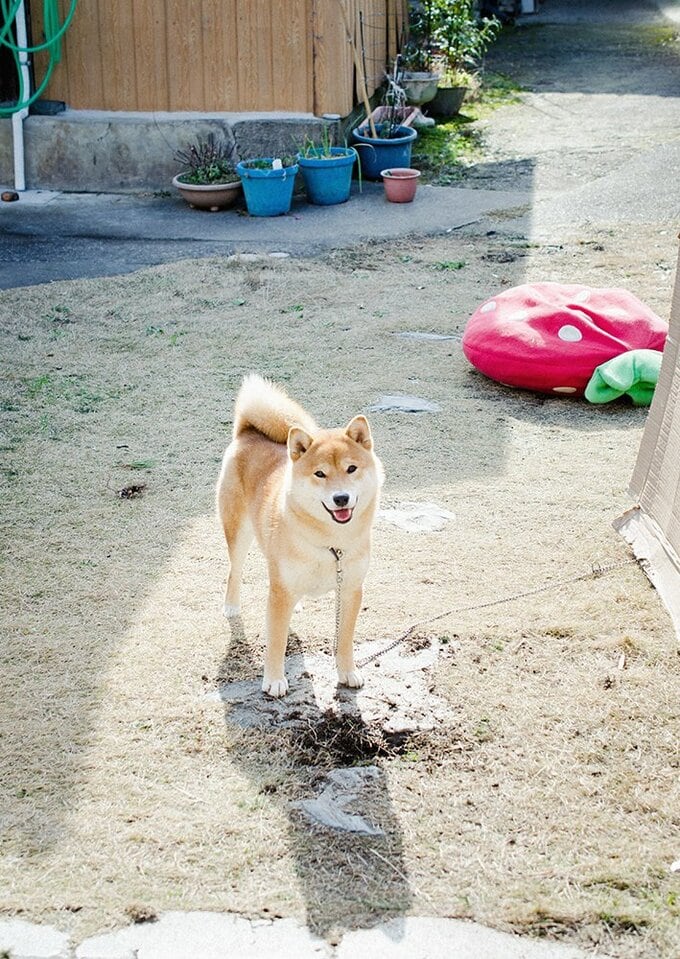 「共生」という言葉がしっくりきている