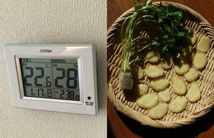 温度計とお野菜