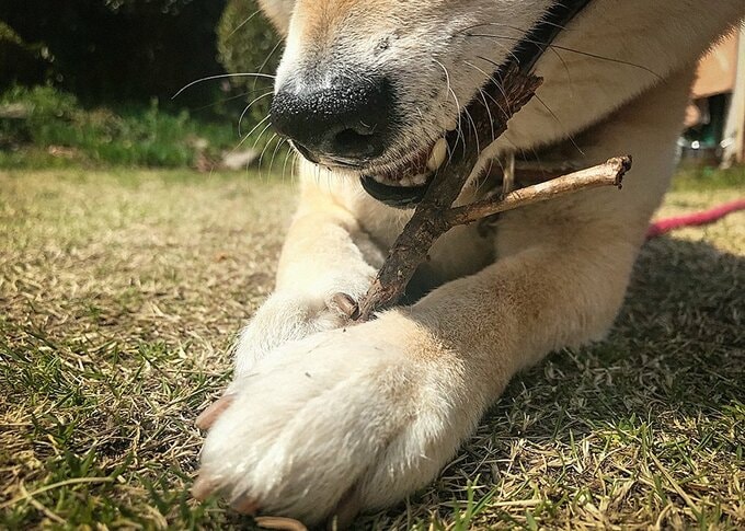 右手左手としか思えなくなってくる