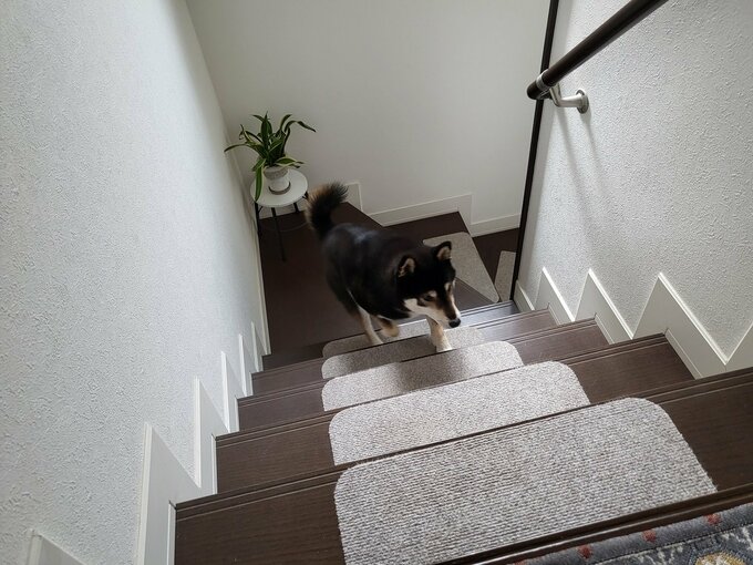 滑り止めシート