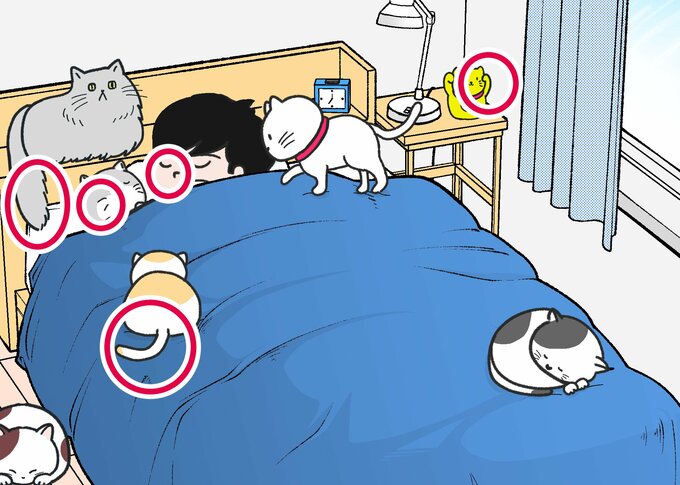 ネコ間違い探し答え合わせ