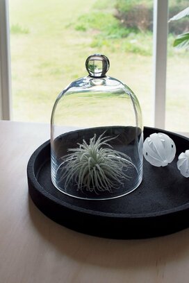 インテリアに涼感を！夏らしい素材と観葉植物を使ってひと工夫