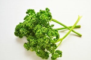 ネギやパセリはまとめてみじん切りにし保存容器でキープ