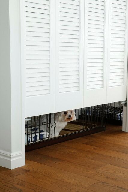 犬がいてもスマートに!2匹のマルチーズと暮らす家に秘められたヒミツとは…