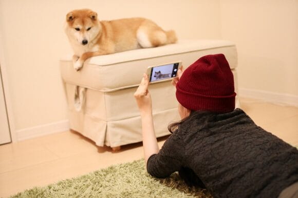 しぐさなどを観察するようにすれば、引き出しも増えますよ