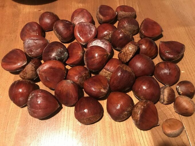たくさんの栗