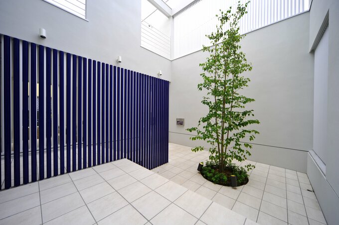 中庭とシンボルツリー