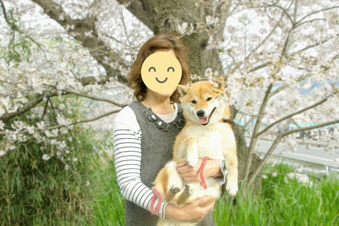 抱っこされる犬