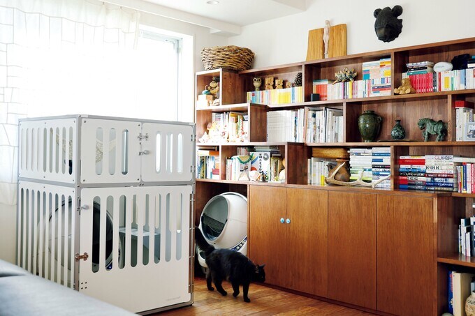 リビングの壁面にネコ用ステップつきの書棚を造作