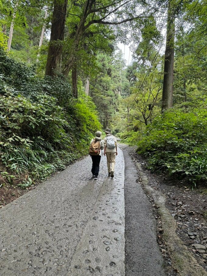 並んで歩く二人