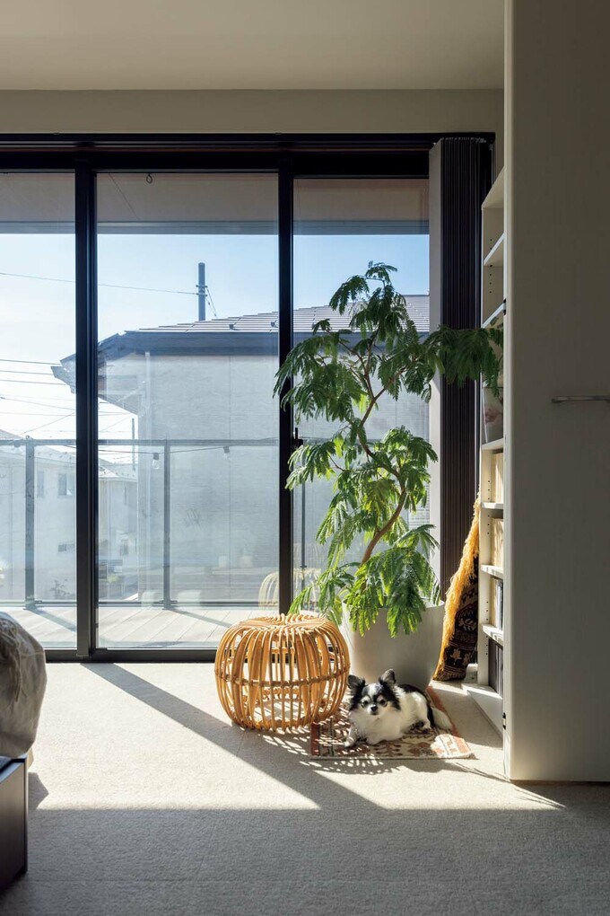 寝室の日だまりで愛犬もリラックス