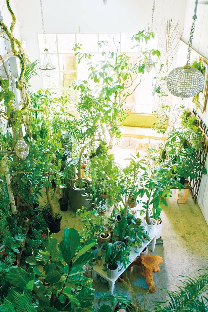 2階から店舗を臨む