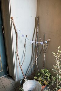 拾った枝でパーティの飾りつけ