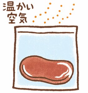冷凍庫の温度を一定に保ち、霜を防ぐ