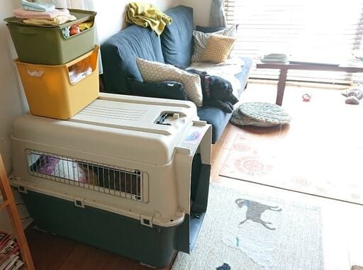 クレートの上をベットグッズの収納場所に有効活用