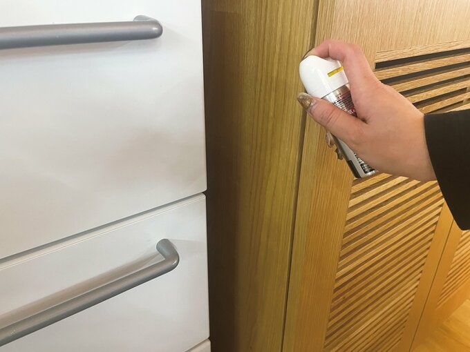 ごきぶり駆除スプレー 隙間用を使用するところ