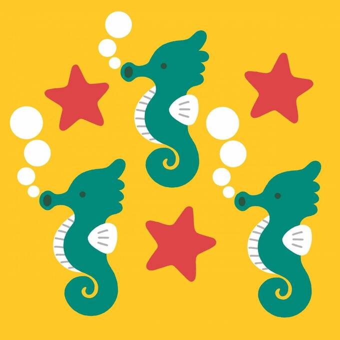 タツノオトシゴ三兄弟2