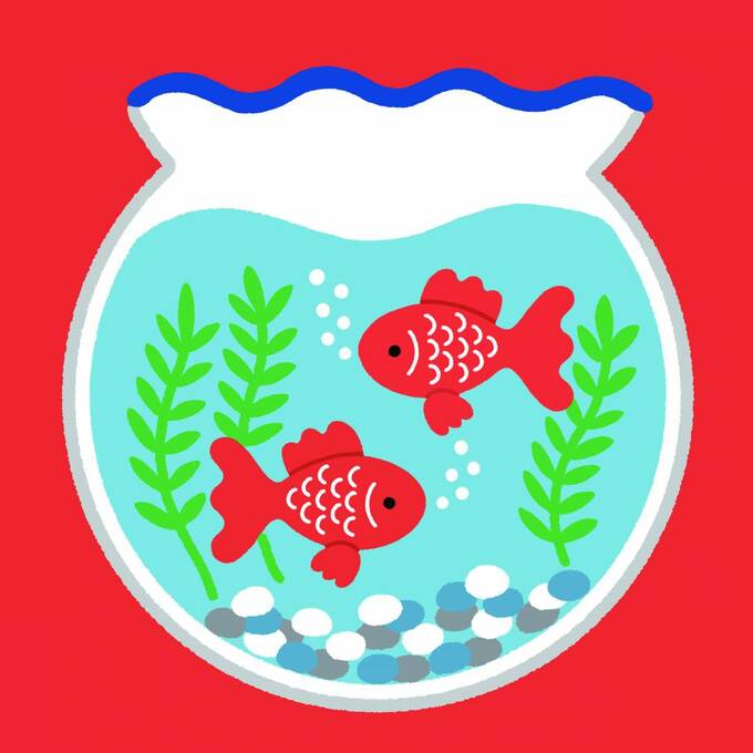 真っ赤な2匹の金魚のイラストその一