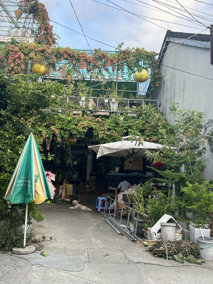 2024年のベトナム旅行