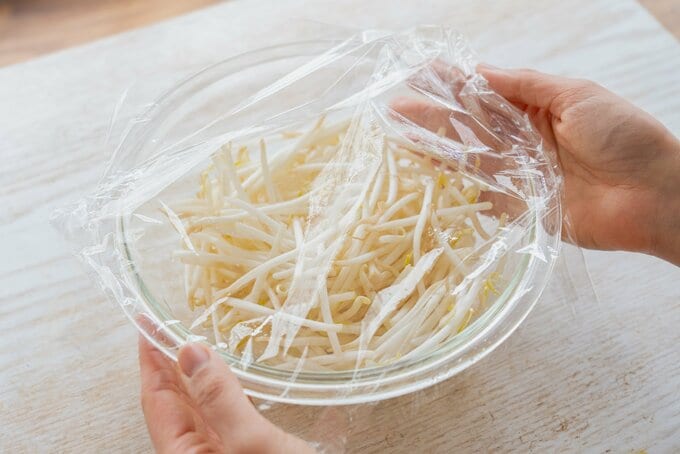 モヤシをレンチン