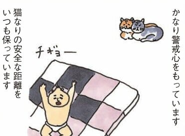 赤ちゃんを避ける猫。でも寝静まったあとに…＜うなぎ家の稚魚＞