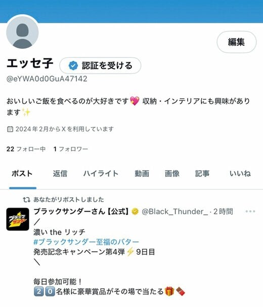 「エッセ子」という架空のXアカウントのプロフィール画面