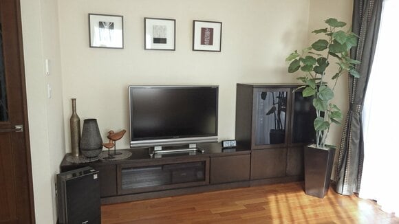 観葉植物のケア