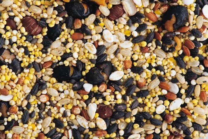 雑穀画像