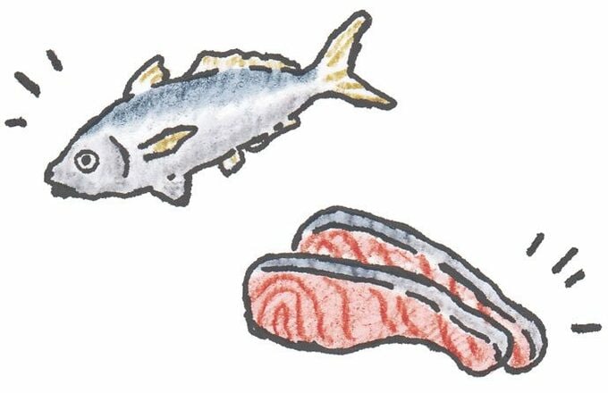イラスト鮭