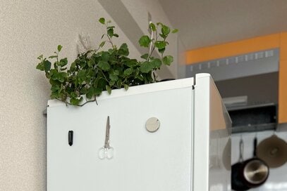 ダイソーの「超強力マグネット」が収納に便利！冷蔵庫にペタッで探す手間なし