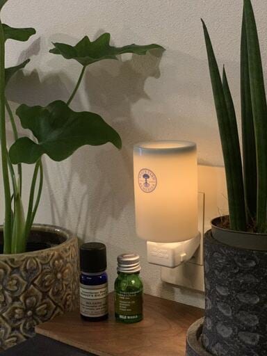 観葉植物とアロマランプ