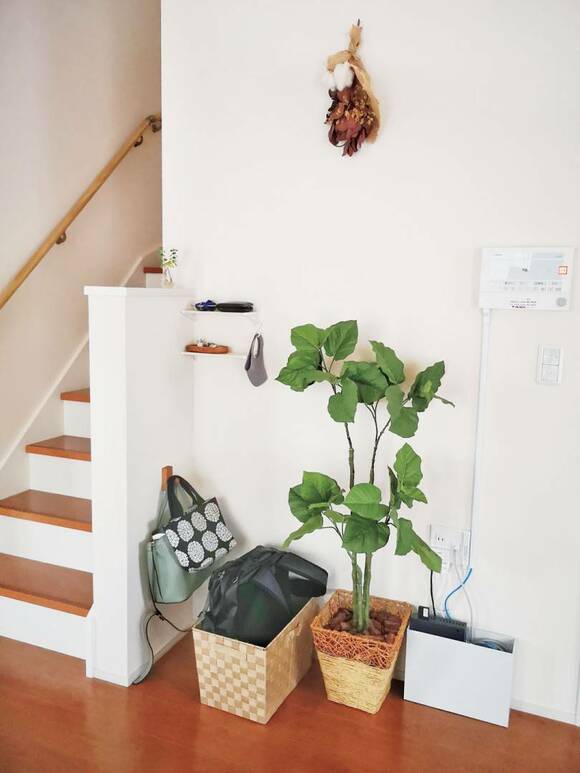階段下にカゴや植木など