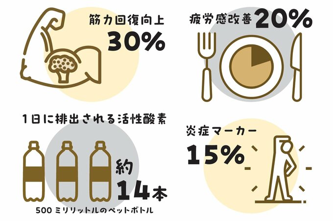 食事が酸化ストレスに与える影響