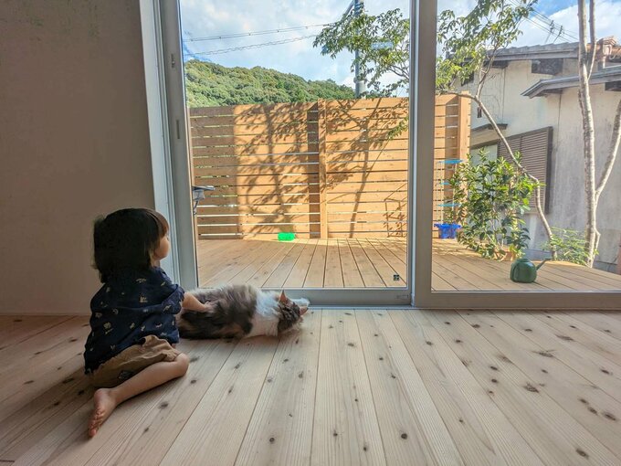 リビングからの眺め