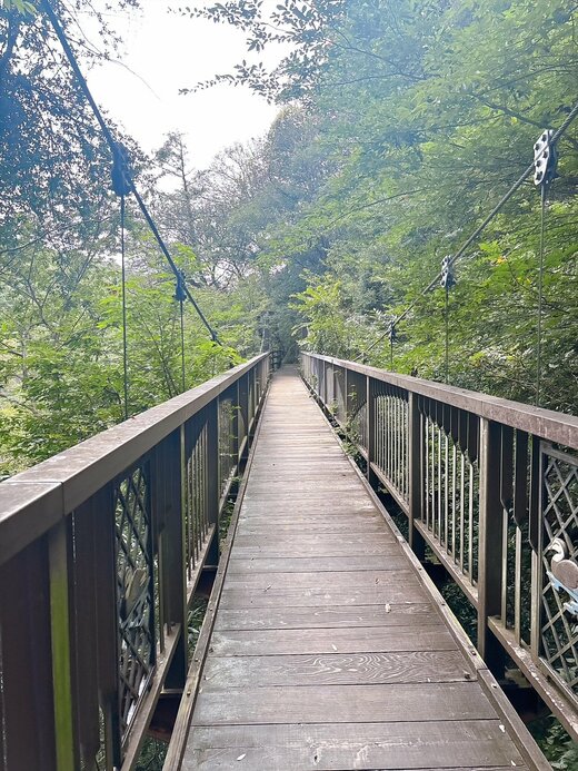 橋