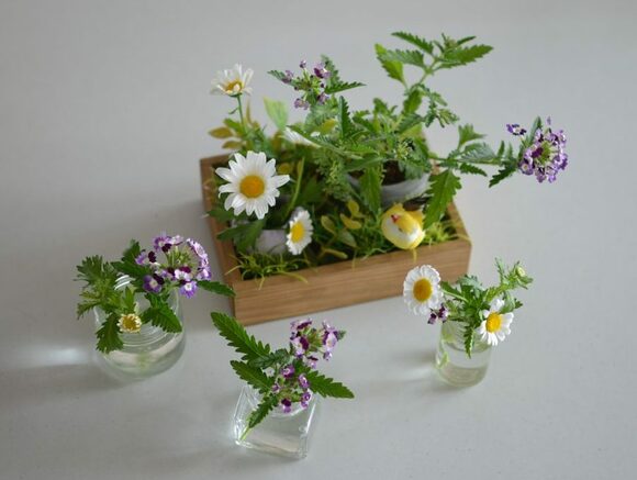 寄せ植えボックス