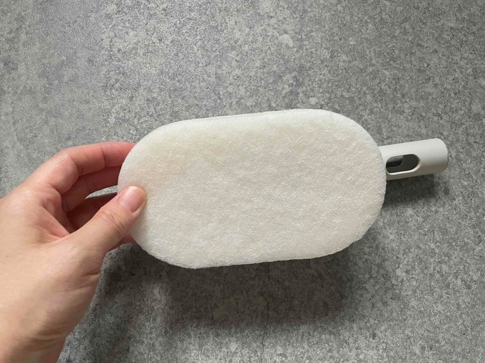 スポンジの裏面