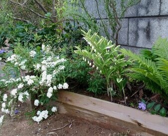 花壇のDIYアイデア集。初心者でも簡単、拾った流木や廃材がいい味に