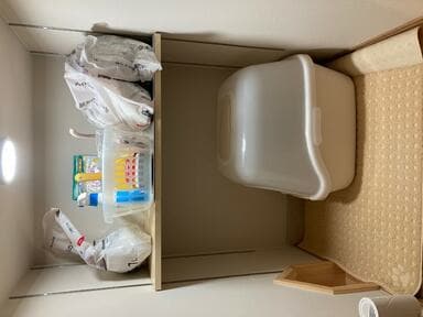 トンネルの先に ネコのトイレを設置してみたら大成功 人もペットもモヤモヤ解消 Esseonline エッセ オンライン