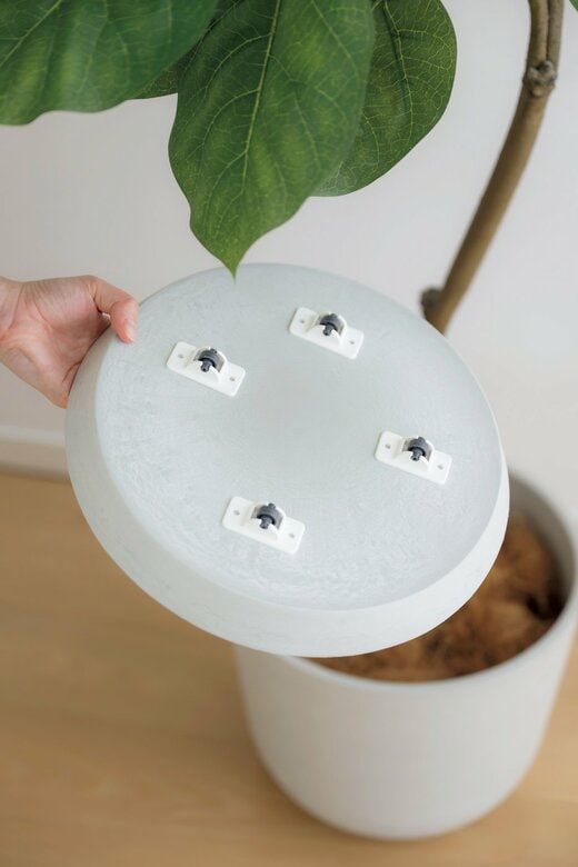 キャスターが取り付けられた観葉植物の受け皿