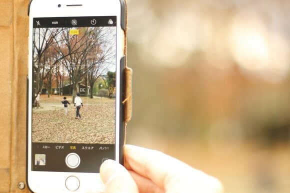 グリッドライン