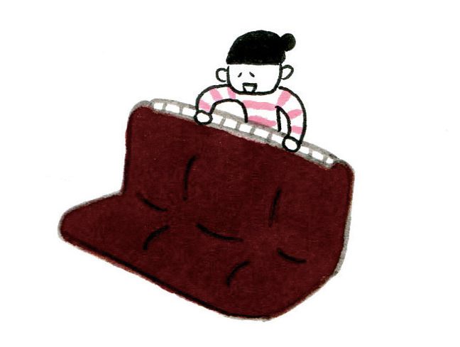 ふりさばくとカバーが装着完了!