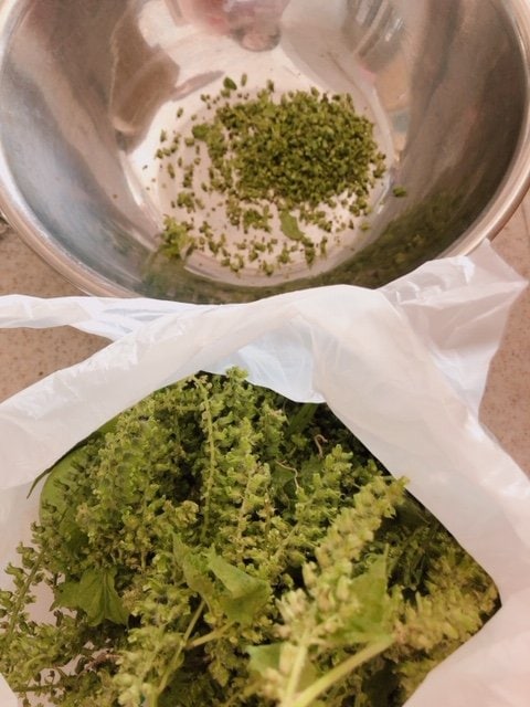 ボウルと袋にシソの実