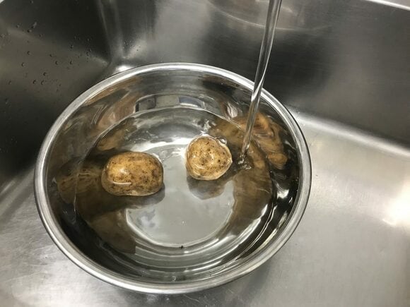 ジャガイモ×シュロタワシ