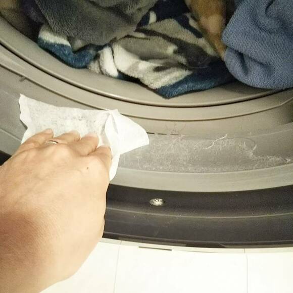 洗濯機のホコリ掃除