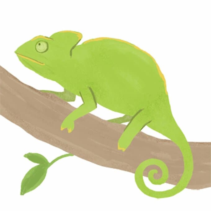カメレオンのイラスト