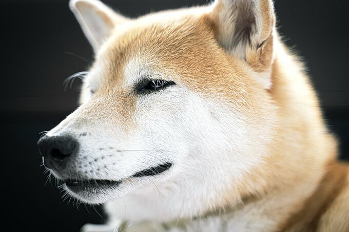 居場所があることに安堵する