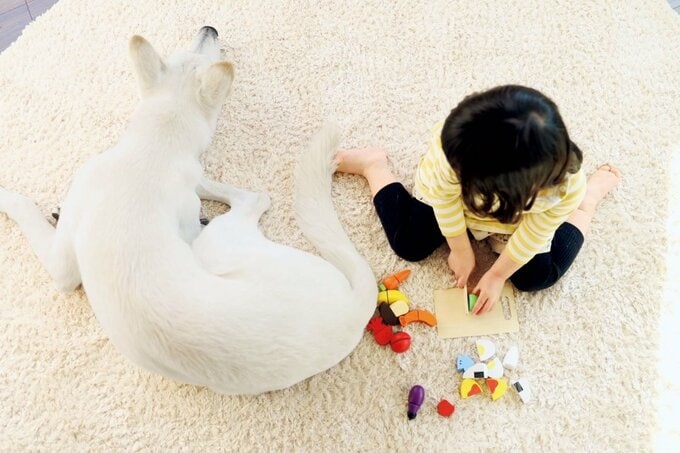 子どもと犬